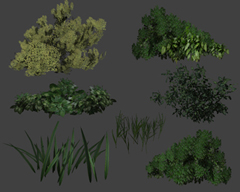 blackrockbgplants